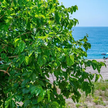 Apartment Seaside Just Steps From The